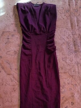 Zara Deep Plum Ruched Midi Dress